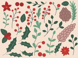 Botanical set for Christmas and New Year design vector