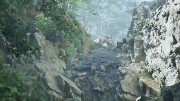 A rocky mountain side with trees and rocks video