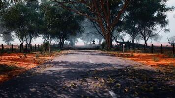 road with a beautiful tree-lined landscape and a fence in the background video
