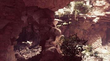 A mysterious cave with an abundance of rocks and lush vegetation video