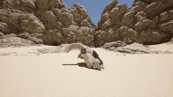 A rock formation in the middle of a desert video