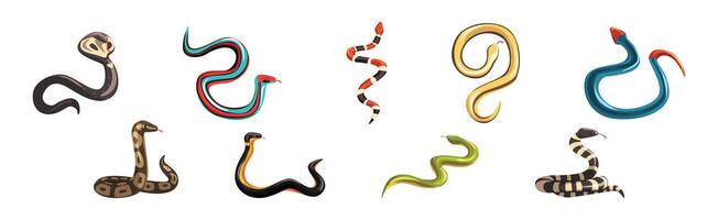 Venomous Snake and Serpent of Different Type Set vector