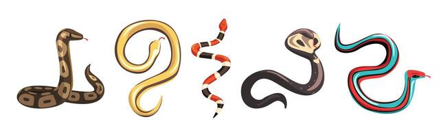 Venomous Snake and Serpent of Different Type Set vector