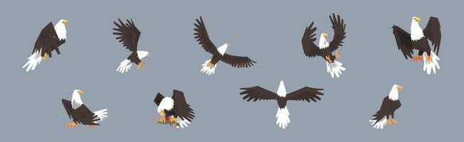 Eagle or Vulture Predatory Bird of Prey Set vector