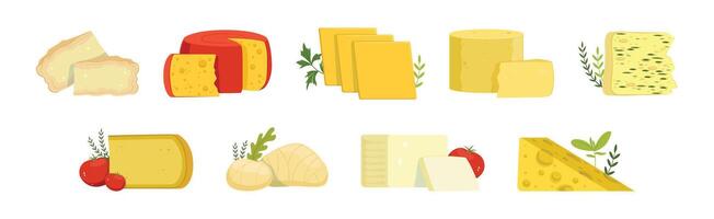 Different Cheese Type as Dairy Product Set vector
