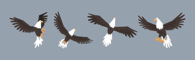 Eagle or Vulture Predatory Bird of Prey Set vector