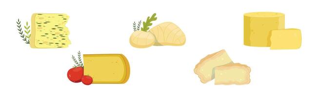 Different Cheese Type as Dairy Product Set vector