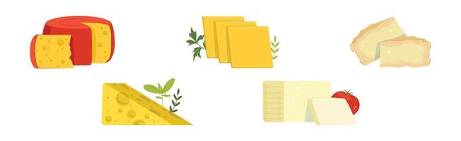 Different Cheese Type as Dairy Product Set vector