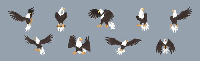 Eagle or Vulture Predatory Bird of Prey Set vector