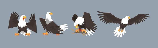 Eagle or Vulture Predatory Bird of Prey Set vector