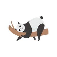 Cute Panda Bear Sleeping on Tree Branch, Happy Lovely Animal Character Illustration vector