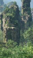 A cluster of rocks nestled in the heart of a serene forest video