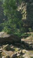 A stunning rock formation nestled in the heart of an Australian forest video