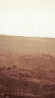 Storm of dust and sand in desert video