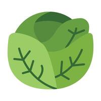Cabbage Icon Design vector