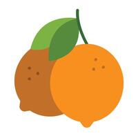 Clementine Icon Design vector