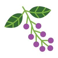 Hackberry Icon Design vector