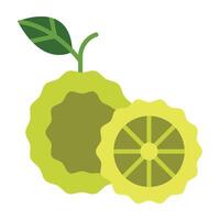 Kaffir Lime Icon Design vector