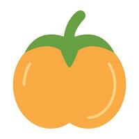Persimmon Icon Design vector