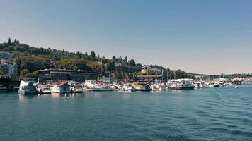 Waterfront Seattle view of docked boats and residential area. A peaceful waterfront scene featuring boats docked near a residential area. video