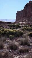 Mountain Towering Over Nevada Desert video