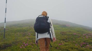 Womans walking on the pathway in the mountains. video