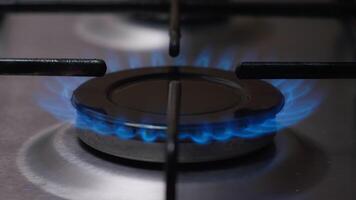 Fire lights up in the burner of the gas stove. video