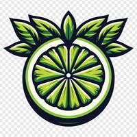 A lime with leaves on it, with a green background vector