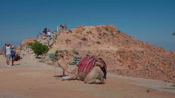 Pathway for tourists to halt in the middle of the desert. video