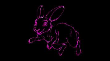 Neon frame effect, Kangaroo playful kangaroo with a pouch, hopping with excitement on black background video