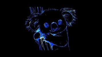 Neon frame effect, Koala cute koala clinging to a tree, with sleepy eyes and a big nose on black background video