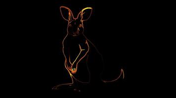 Neon frame effect, Kangaroo playful kangaroo with a pouch, hopping with excitement on black background video
