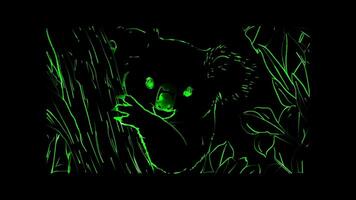 Neon frame effect, Koala cute koala clinging to a tree, with sleepy eyes and a big nose on black background video