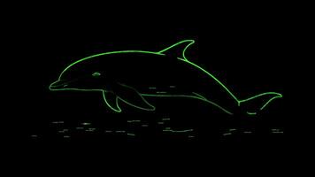Neon frame effect, Dolphin joyful dolphin jumping out of the water, with a big smile on black background video