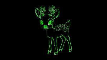 Neon frame effect, Deer gentle deer with big eyes and delicate antlers, standing gracefully on black background video