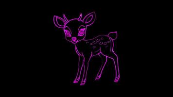Neon frame effect, Deer gentle deer with big eyes and delicate antlers, standing gracefully on black background video