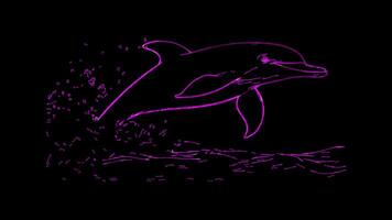 Neon frame effect, Dolphin joyful dolphin jumping out of the water, with a big smile on black background video