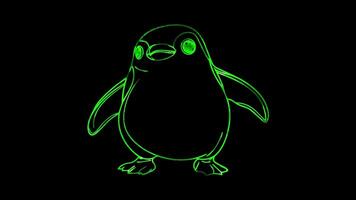 Neon frame effect, Penguin cute penguin with a round belly and flippers on black background video