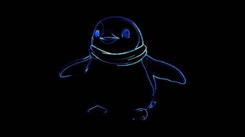 Neon frame effect, Penguin cute penguin with a round belly and flippers on black background video
