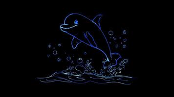 Neon frame effect, Dolphin joyful dolphin jumping out of the water, with a big smile on black background video
