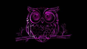 Neon frame effect, Owl Mask A wise owl with big eyes and fluffy feathers, perched on a branch on black background video