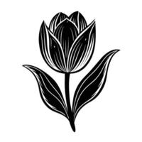 A black and white drawing of a tulip vector