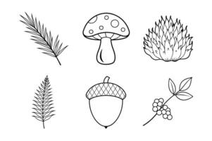 Forest Floor Elements Line Art Bundle vector