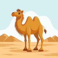 Cute two-humped camel in desert. Flat style illustration. vector
