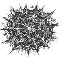 A spider web with black and white lines vector