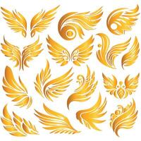 Golden wings set vector