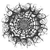 A black and white drawing of a spider web vector