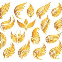 Golden wings set vector