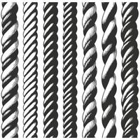 A set of different rope designs vector