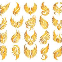 Golden wings set vector